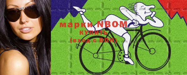 амф Кодинск