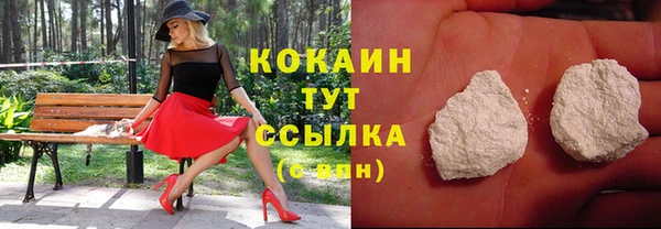 амф Кодинск