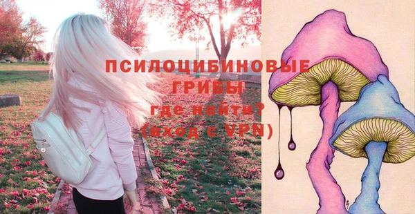 амф Кодинск