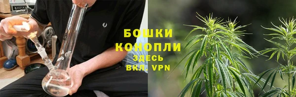 амф Кодинск