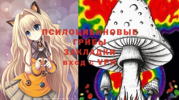 амф Кодинск