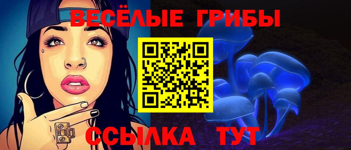 Псилоцибиновые грибы GOLDEN TEACHER Рязань